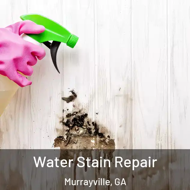  Water Stain Repair Murrayville, GA