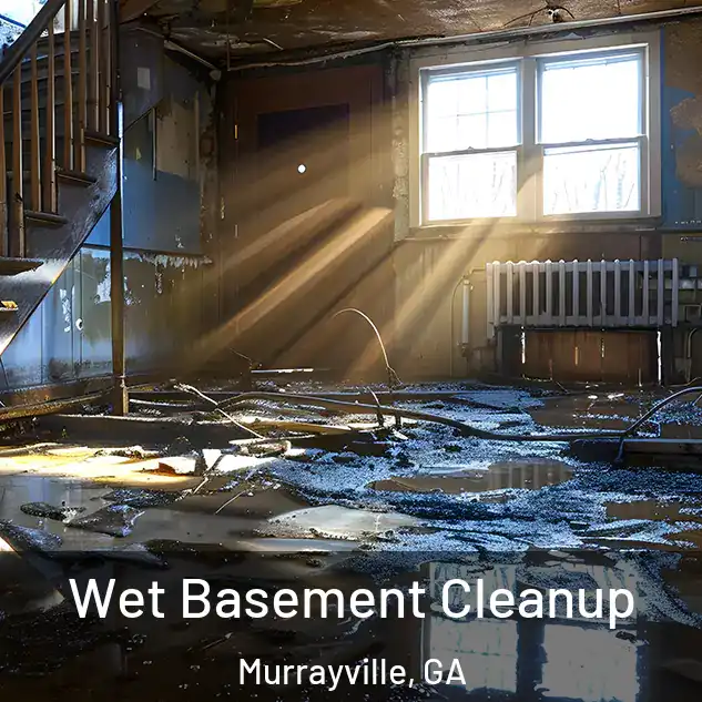  Wet Basement Cleanup Murrayville, GA