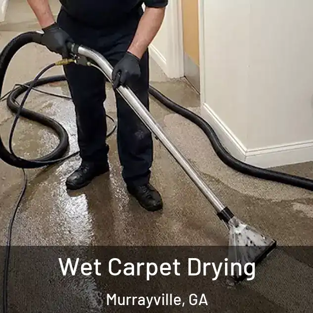  Wet Carpet Drying Murrayville, GA