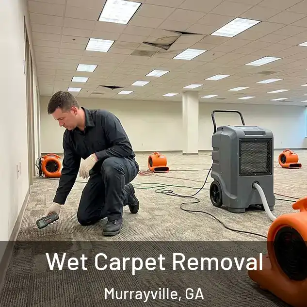  Wet Carpet Removal Murrayville, GA